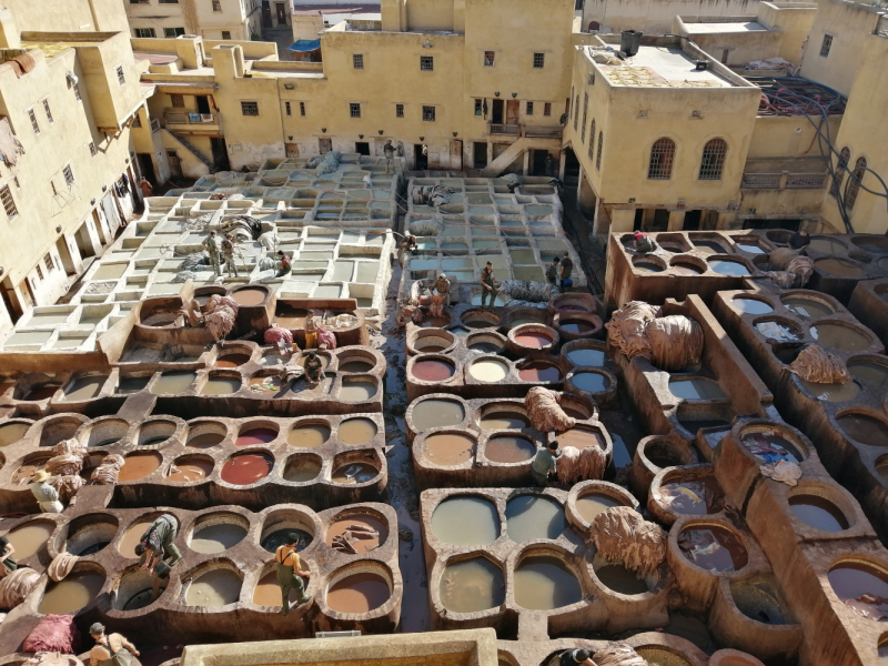 Январь 2020, без машины: Танжер-Асила-Шефшауэн-Фес-Мерзуга-Тингир-Марракеш-Тубкаль-Эссуэйра-Касабланка