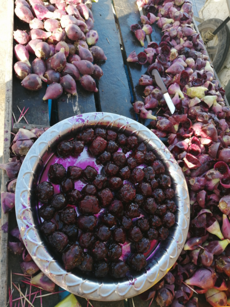 Январь 2020, без машины: Танжер-Асила-Шефшауэн-Фес-Мерзуга-Тингир-Марракеш-Тубкаль-Эссуэйра-Касабланка