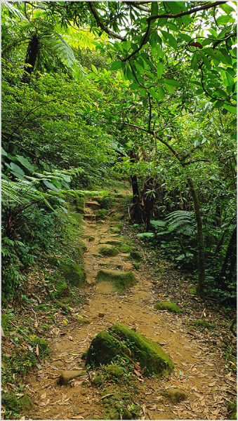 Тайвань Ruifang