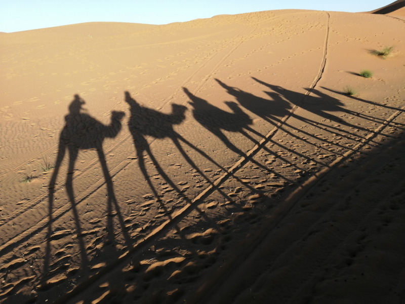 Январь 2020, без машины: Танжер-Асила-Шефшауэн-Фес-Мерзуга-Тингир-Марракеш-Тубкаль-Эссуэйра-Касабланка