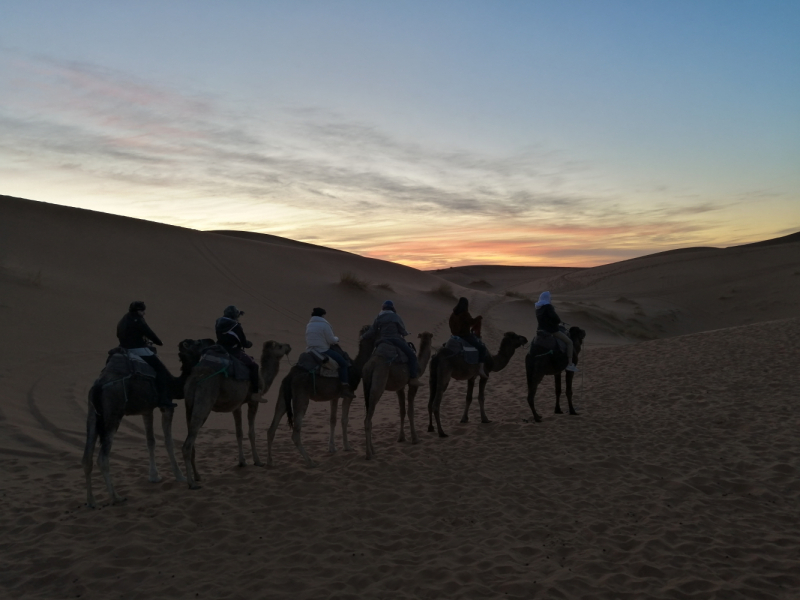 Январь 2020, без машины: Танжер-Асила-Шефшауэн-Фес-Мерзуга-Тингир-Марракеш-Тубкаль-Эссуэйра-Касабланка