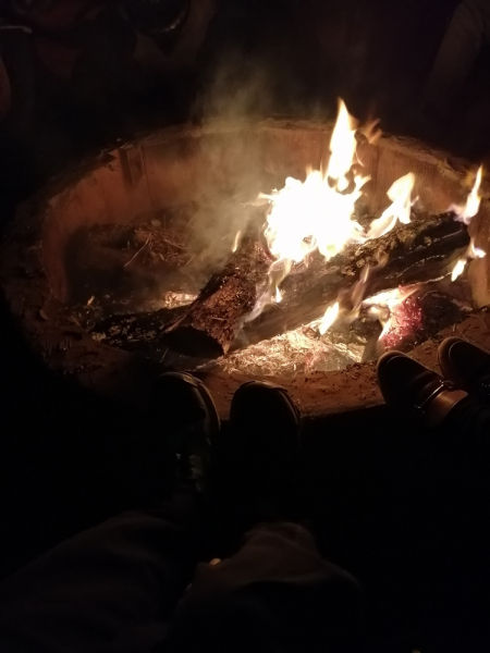 Январь 2020, без машины: Танжер-Асила-Шефшауэн-Фес-Мерзуга-Тингир-Марракеш-Тубкаль-Эссуэйра-Касабланка