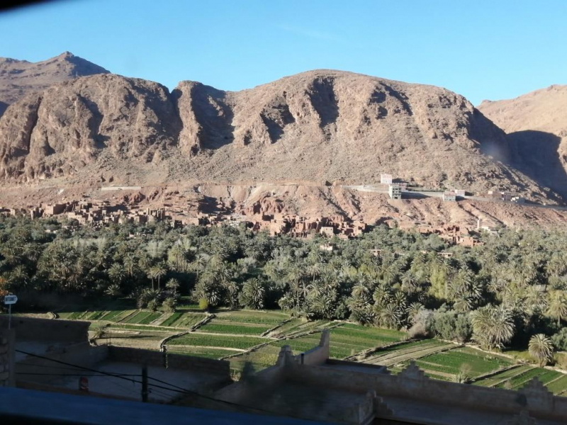 Январь 2020, без машины: Танжер-Асила-Шефшауэн-Фес-Мерзуга-Тингир-Марракеш-Тубкаль-Эссуэйра-Касабланка