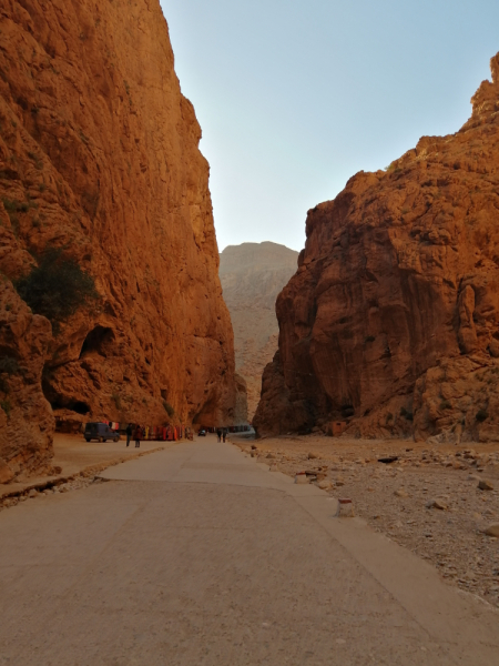 Январь 2020, без машины: Танжер-Асила-Шефшауэн-Фес-Мерзуга-Тингир-Марракеш-Тубкаль-Эссуэйра-Касабланка