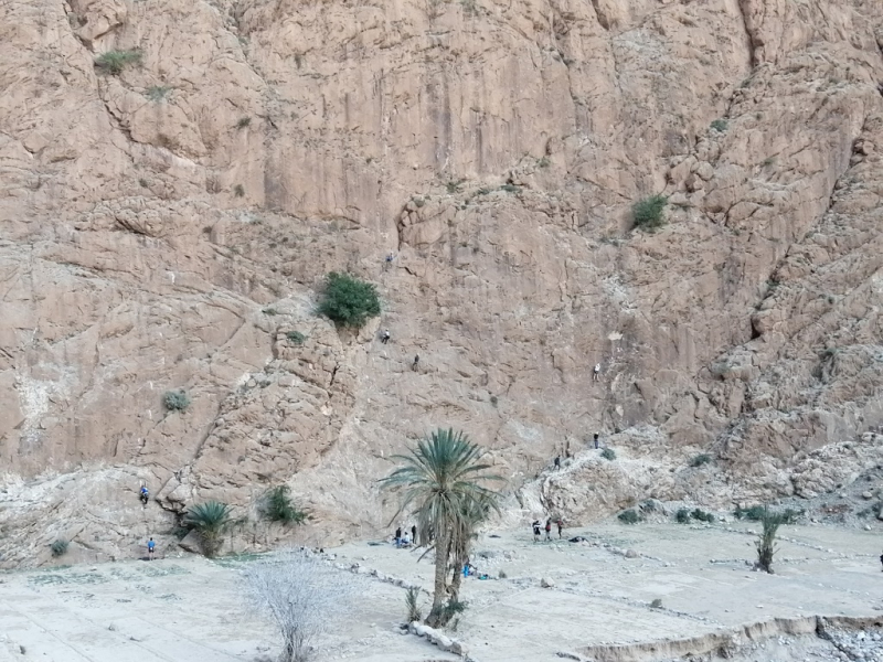 Январь 2020, без машины: Танжер-Асила-Шефшауэн-Фес-Мерзуга-Тингир-Марракеш-Тубкаль-Эссуэйра-Касабланка