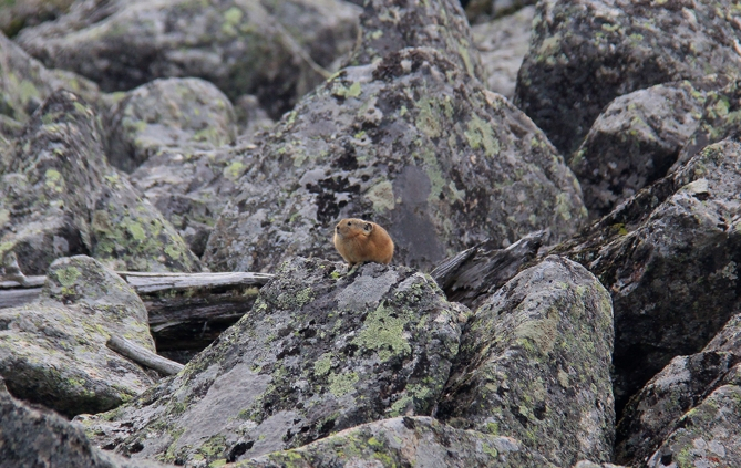 Озеро Поперечное
