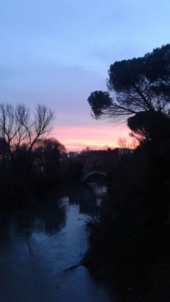 La mia vita. Римские записки, дневник онлайн