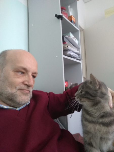 Кошки в нашей жизни. Кошки и все, что с ними связано.