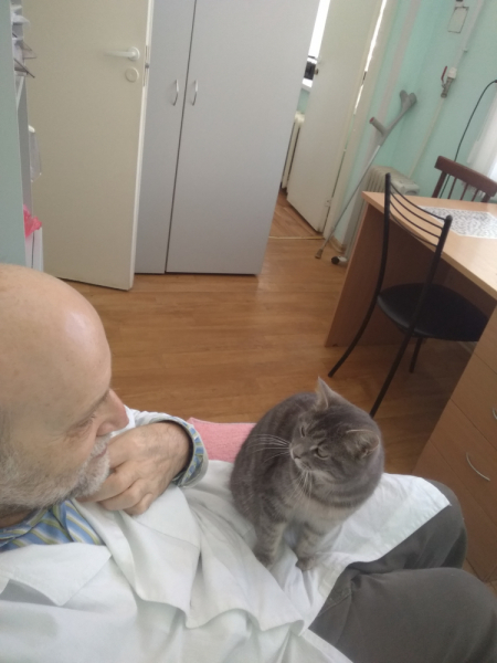 Кошки в нашей жизни. Кошки и все, что с ними связано.