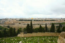 Семейная пара™ (первый раз в Стамбул)