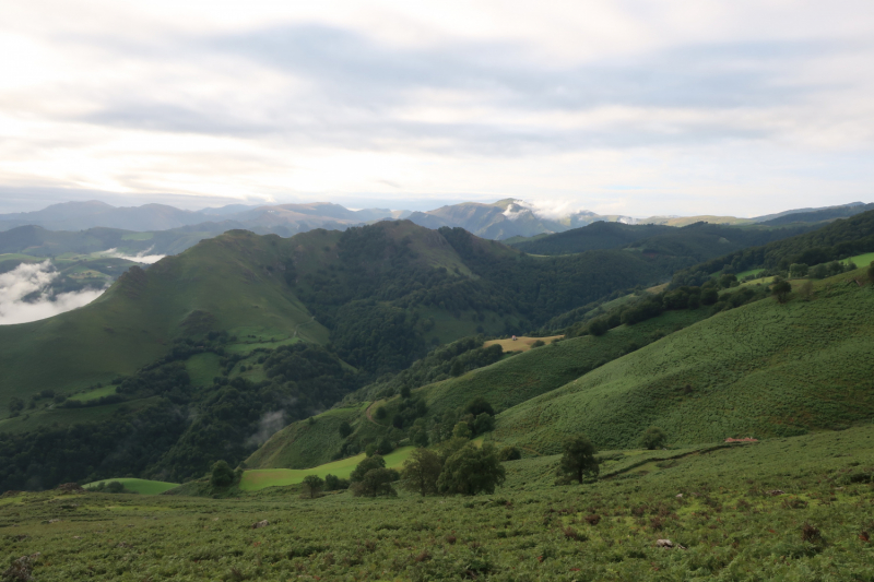 Camino de Santiago 2019. Сен-Жан-Пье-де-Порт  -   Сантьяго (+ Финистерра)