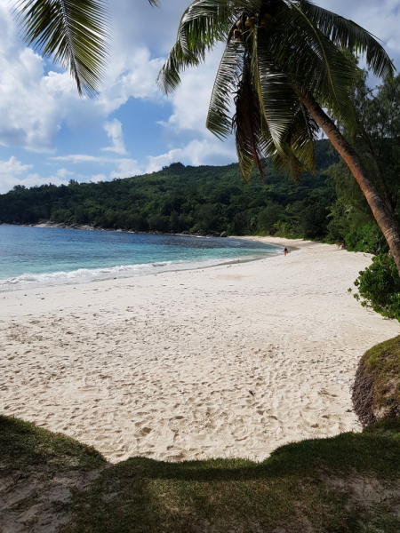 Сейшелы как дача