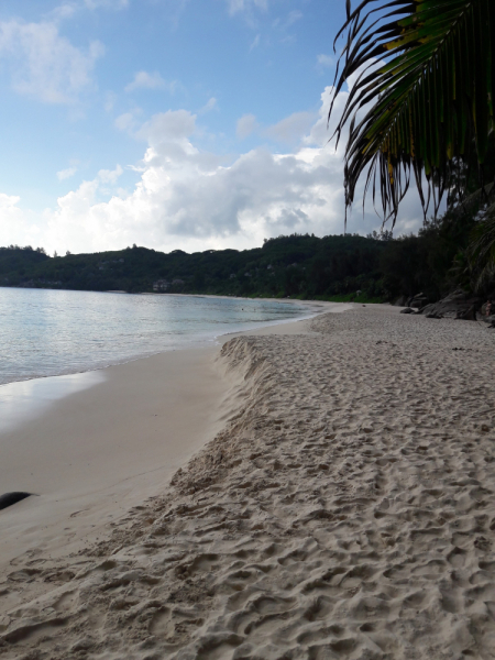 Сейшелы как дача