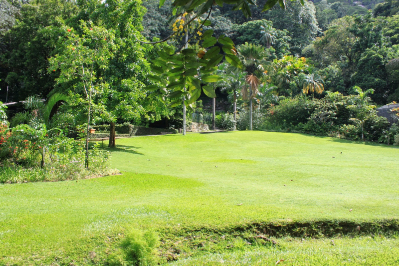 Сейшелы как дача