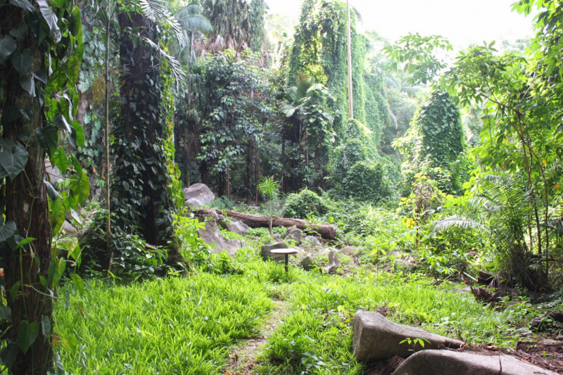 Сейшелы как дача