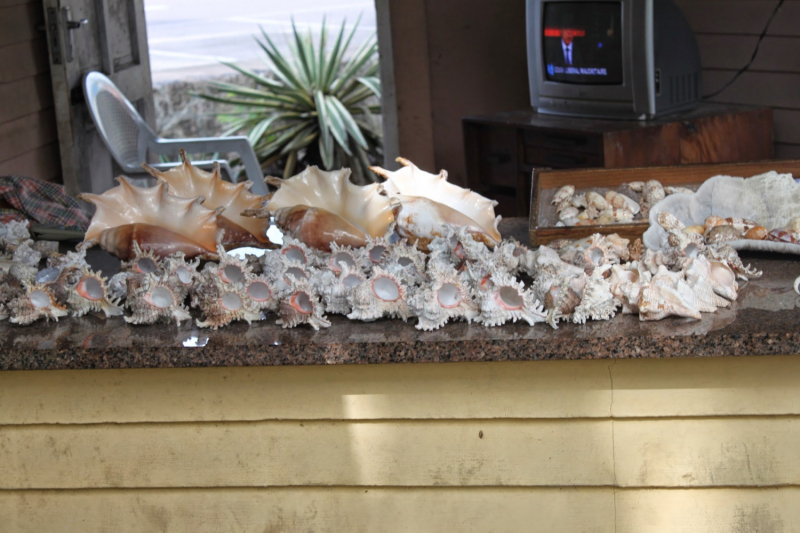 Сейшелы как дача