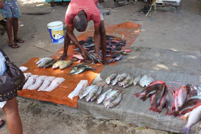 Сейшелы как дача