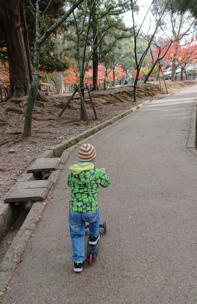 По Японии с маленькими детьми. Детали и особенности: транспорт, отели, достопримечательности, еда