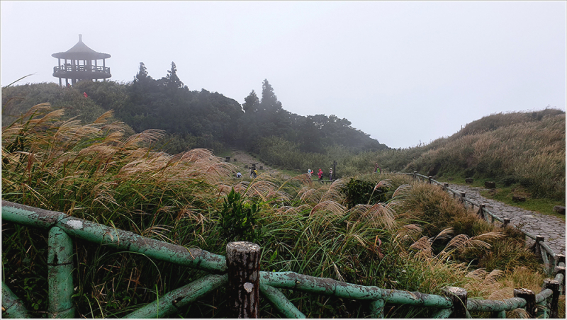 Тайвань Yangmingshan National Park