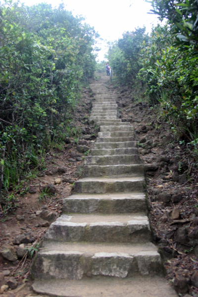 Увидеть Гонконг за 5 дней и влюбиться, Макао 2 дня: основные достопримечательности, как добраться.