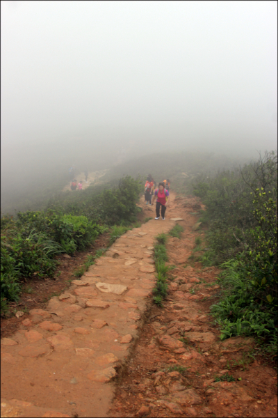 Увидеть Гонконг за 5 дней и влюбиться, Макао 2 дня: основные достопримечательности, как добраться.