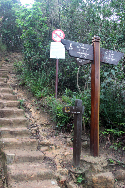 Увидеть Гонконг за 5 дней и влюбиться, Макао 2 дня: основные достопримечательности, как добраться.