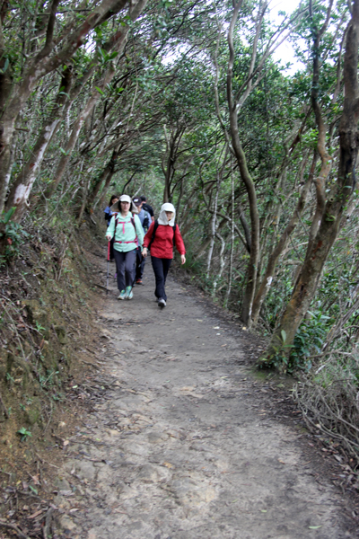 Увидеть Гонконг за 5 дней и влюбиться, Макао 2 дня: основные достопримечательности, как добраться.