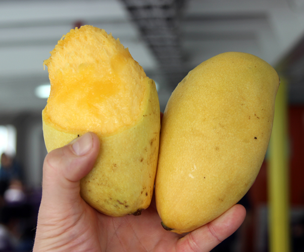 Увидеть Гонконг за 5 дней и влюбиться, Макао 2 дня: основные достопримечательности, как добраться.