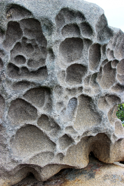 Увидеть Гонконг за 5 дней и влюбиться, Макао 2 дня: основные достопримечательности, как добраться.