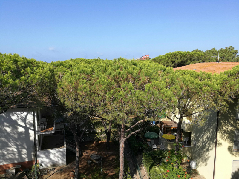 Отдых на море с детьми в Италии. Выбор побережья для пляжного отдыха.