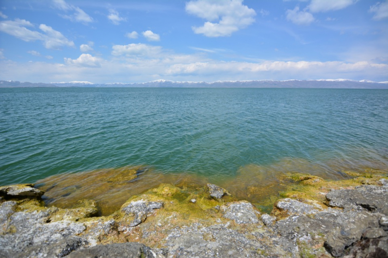 Армения, конец апреля, на машине.