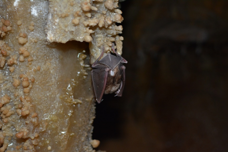 Армения, конец апреля, на машине.