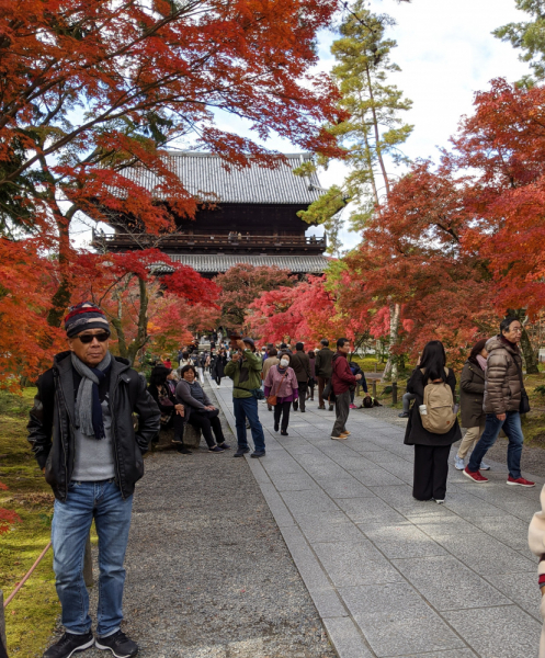 Япония: Киото, Такаяма, Сиракава-го, Токио, Фудзи - 9 дней, ноябрь 2019