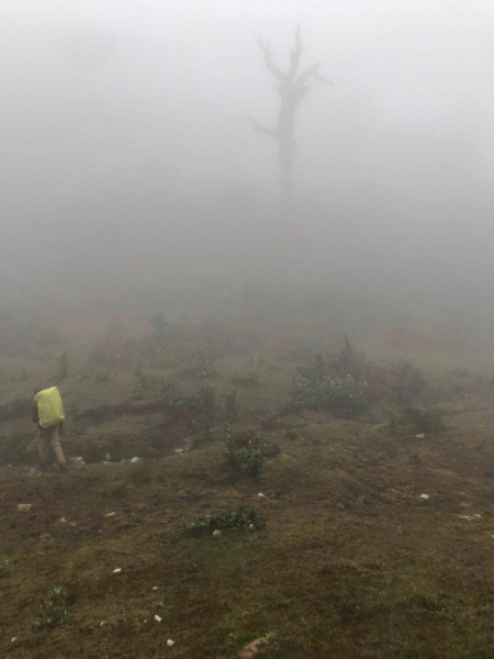 Маршрут 3-х дневного восхождения на Фансипан по джунглям