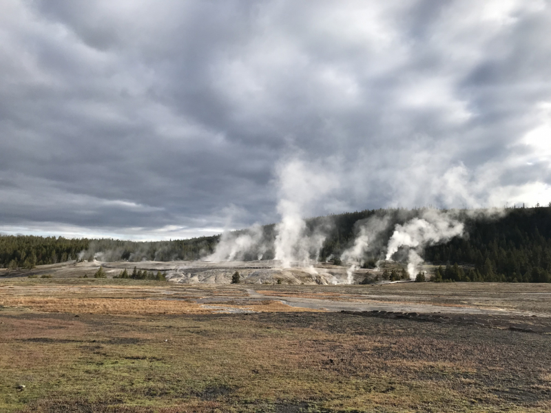 Парки Запада США, включая Yellowstone и Grand Teton. 2-13 мая.