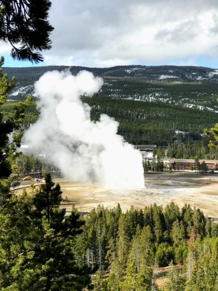 Парки Запада США, включая Yellowstone и Grand Teton. 2-13 мая.