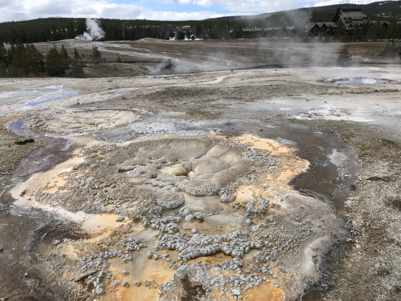 Парки Запада США, включая Yellowstone и Grand Teton. 2-13 мая.