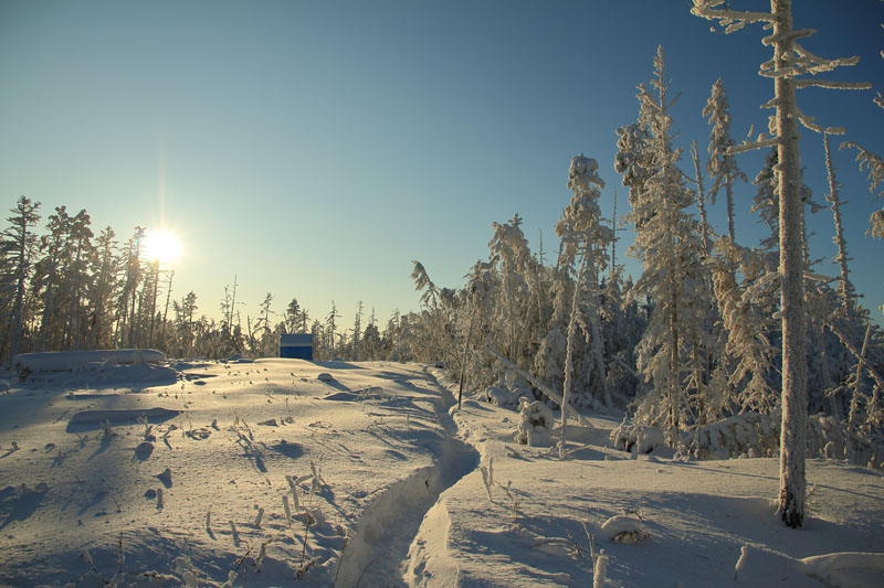 Якутия. Оймякон - полюс холода Северного полушария. Январь 2020.