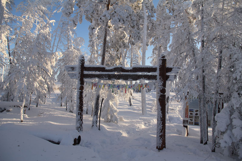 Якутия. Оймякон - полюс холода Северного полушария. Январь 2020.