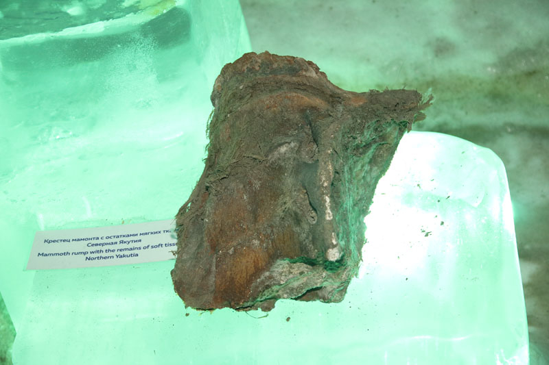 Якутия. Оймякон - полюс холода Северного полушария. Январь 2020.