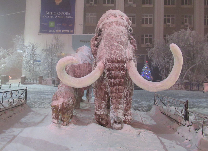 Якутия. Оймякон - полюс холода Северного полушария. Январь 2020.