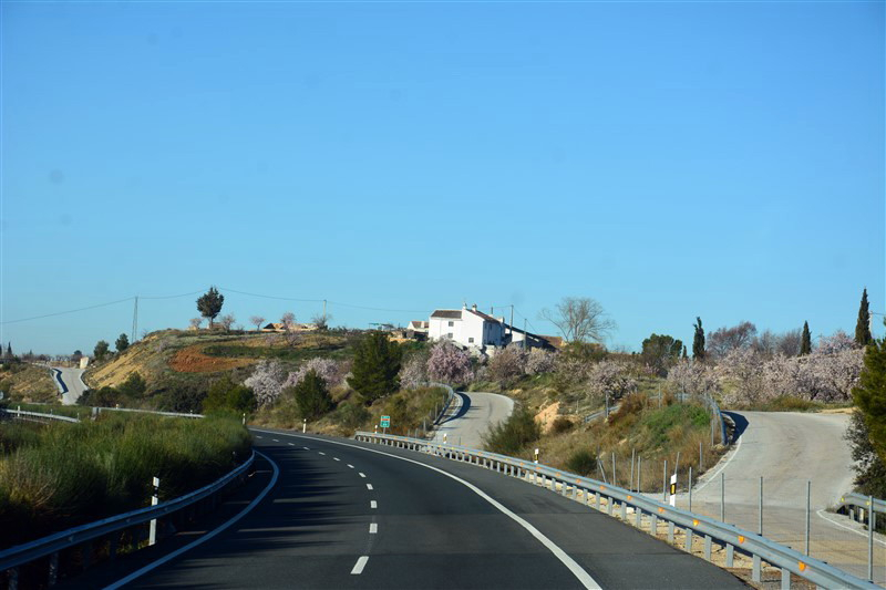 Андалусия в феврале. Лорка - Гранада - Ронда - Севилья - Кордоба