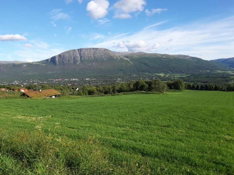 600 км пешком по Норвегии, или Путь Святого Олафа