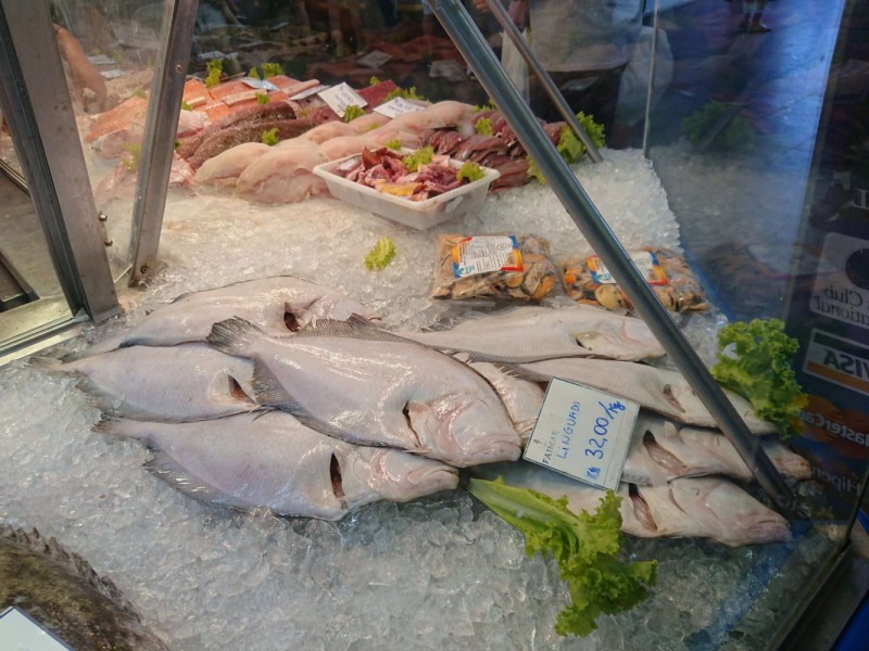 Бразилия, Флорианополис на выходные