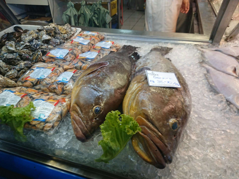 Бразилия, Флорианополис на выходные