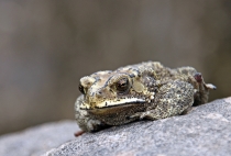 Детские каникулы в сезон дождей