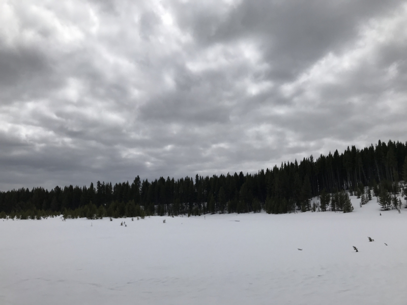 Парки Запада США, включая Yellowstone и Grand Teton. 2-13 мая.