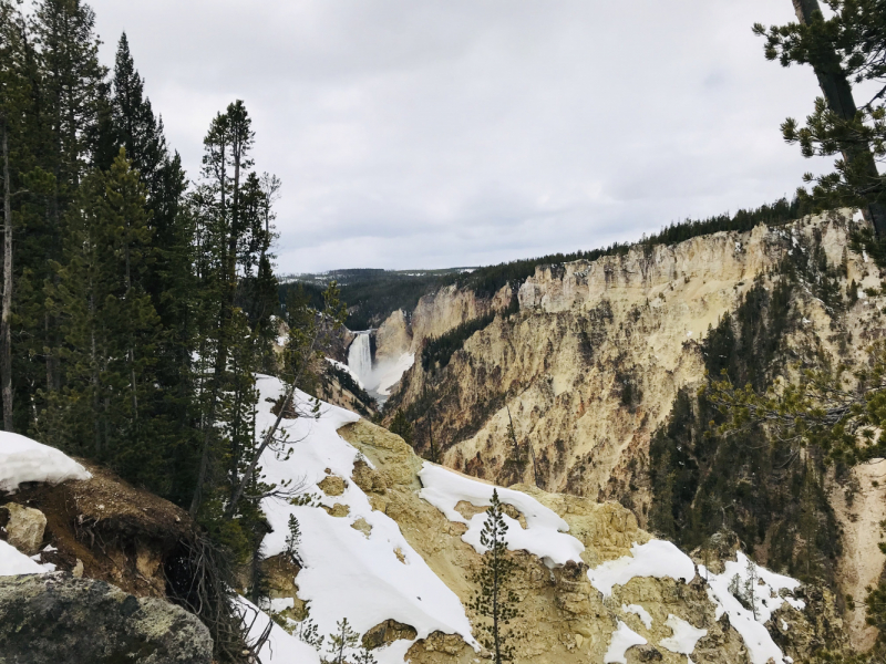 Парки Запада США, включая Yellowstone и Grand Teton. 2-13 мая.