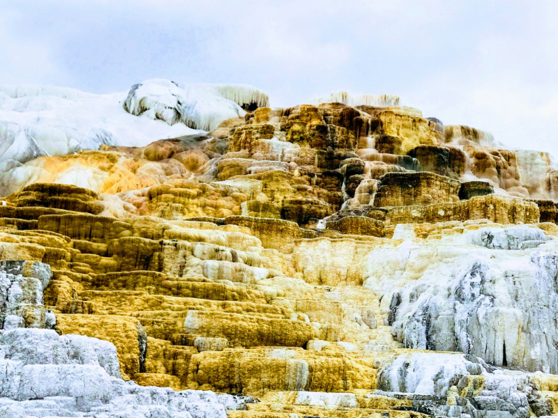 Парки Запада США, включая Yellowstone и Grand Teton. 2-13 мая.