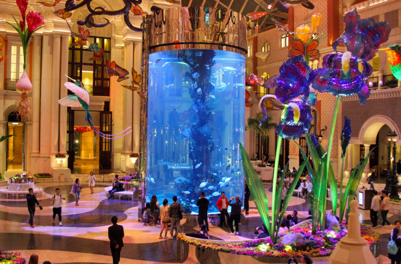 Увидеть Гонконг за 5 дней и влюбиться, Макао 2 дня: основные достопримечательности, как добраться.